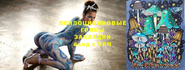 a pvp Инсар