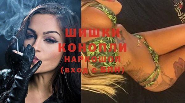 a pvp Инсар