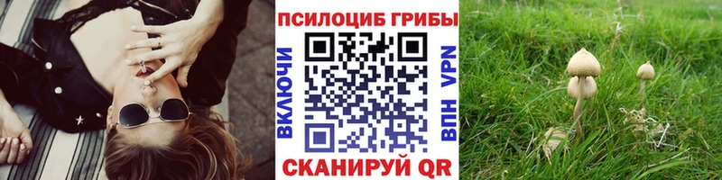 Галлюциногенные грибы Psilocybe Купить закладки Красновишерск